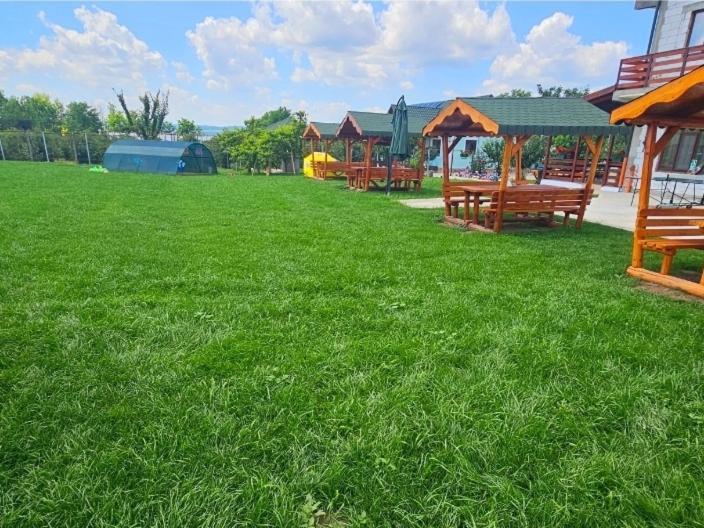 Colt De Rai Bed and Breakfast Hîrtoape Εξωτερικό φωτογραφία